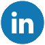 Icone LinkedIn